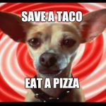 Taco Tuesday | SAVE A TACO; EAT A PIZZA | image tagged in taco bell dog,silly,tacos,taco tuesday,memes,pizza | made w/ Imgflip meme maker