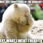 Sad Polar Bear | ME WHEN I BUY EVERYTHING AT THE GROCERY STORE; EXCEPT WHAT I WENT THERE TO BUY | image tagged in sad polar bear | made w/ Imgflip meme maker