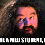 You are a Wizard Harry | YOU ARE A MED STUDENT, HARRY | image tagged in you are a wizard harry | made w/ Imgflip meme maker