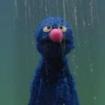 Grover in the Rain meme