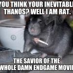MCU’s Rat of Destiny | YOU THINK YOUR INEVITABLE THANOS? WELL I AM RAT. THE SAVIOR OF THE WHOLE DAMN ENDGAME MOVIE. | image tagged in mcus rat of destiny | made w/ Imgflip meme maker