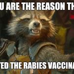 Rocket Raccoon | YOU ARE THE REASON THEY; CREATED THE RABIES VACCINATION! | image tagged in rocket raccoon | made w/ Imgflip meme maker