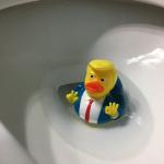 Donald Duck Trump