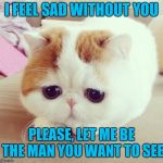 Sad Cat | I FEEL SAD WITHOUT YOU; PLEASE, LET ME BE THE MAN YOU WANT TO SEE | image tagged in sad cat | made w/ Imgflip meme maker