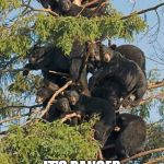 Bear tree | AW, JEESE!!! IT'S RANGER SMITH!!! | image tagged in bear tree | made w/ Imgflip meme maker