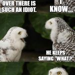 What an idiot. | I KNOW.... THAT OWL OVER THERE IS SUCH AN IDIOT. HE KEEPS SAYING "WHAT?" | image tagged in memes,talking night owls,owl,owls | made w/ Imgflip meme maker