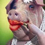 Lipstick on a Pig meme