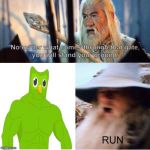 Dear god. | image tagged in no matter what comes through that gate,ricardo,memes,funny,duolingo | made w/ Imgflip meme maker