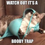 booby trap | WATCH OUT IT’S A; BOOBY TRAP | image tagged in booby trap | made w/ Imgflip meme maker