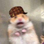 Surprised hamster | THAT MOMENT WHEN YOU CHEAT ON YOUR GIRL AND SHE FINDS OUT | image tagged in surprised hamster | made w/ Imgflip meme maker