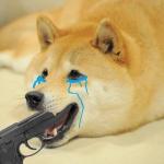 Doge suicide