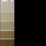 Racist color strip