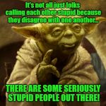 SERIOUSLY! | It's not all just folks calling each other stupid because they disagree with one another... THERE ARE SOME SERIOUSLY STUPID PEOPLE OUT THERE! | image tagged in yoda wise,stupid,memes | made w/ Imgflip meme maker