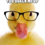 Hipster Duck | YOU QUACK ME UP | image tagged in hipster duck | made w/ Imgflip meme maker