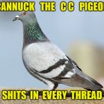 pigeon | CANNUCK   THE   C C   PIGEON; SHITS  IN  EVERY  THREAD | image tagged in pigeon | made w/ Imgflip meme maker