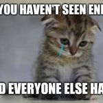 Sad kitten | WHEN YOU HAVEN'T SEEN END GAME; AND EVERYONE ELSE HAS... | image tagged in sad kitten | made w/ Imgflip meme maker