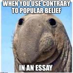 Pompous Elephant | WHEN YOU USE CONTRARY TO POPULAR BELIEF; IN AN ESSAY | image tagged in pompous elephant | made w/ Imgflip meme maker