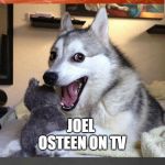 Religion comparison, dog edition | MORMONS WHO COME TO MY DOOR; JOEL OSTEEN ON TV; THE JWS | image tagged in dog comparison 3 panel,mormons,joel osteen,jehovah's witness,dogs | made w/ Imgflip meme maker