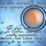 Sperm and Egg Fertilization | When you sprinkle little posts around the internet; But that one post is so clever, and gets so much engagement, comments, and likes that it's worthy to be called "dank". | image tagged in sperm and egg fertilization,memes,dank memes | made w/ Imgflip meme maker