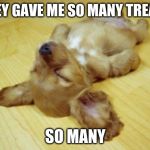 Passed out Puppy | THEY GAVE ME SO MANY TREATS; SO MANY | image tagged in passed out puppy | made w/ Imgflip meme maker