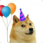 Party Doge