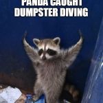Dumpster Diving Trash Panda | TRASH PANDA CAUGHT DUMPSTER DIVING; " I SURRENDERZ" | image tagged in trash panda surrenders,trash panda,dumpster diving,dumpster diving trash panda,racoon,dumpster diver | made w/ Imgflip meme maker