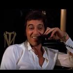 Scarface calling