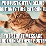 I believe | (BUT ONLY THIS CAT CAN FLY); YOU JUST GOTTA 
BELIVE; THE SECRET MESSAGE HIDDEN IN AL THESE POSTERS | image tagged in i believe | made w/ Imgflip meme maker