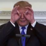 Trump Pretend Glasses