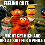 Elmo and Friends | FEELING CUTE.............. MIGHT GET HIGH AND STARE AT SHIT FOR A WHILE, IDK | image tagged in elmo and friends | made w/ Imgflip meme maker