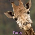 Giraffe face | Top notch work! I'm so proud of you! | image tagged in giraffe face | made w/ Imgflip meme maker