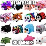 Team Beanie | TEAM BEANIE; BOO MEMES | image tagged in team beanie | made w/ Imgflip meme maker