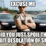 Reno 911 | EXCUSE ME; DID YOU JUST SPOIL THE HOBBIT DESOLATION OF SMAUG | image tagged in reno 911 | made w/ Imgflip meme maker