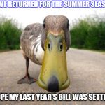 Duck | I HAVE RETURNED FOR THE SUMMER SEASON; I HOPE MY LAST YEAR'S BILL WAS SETTLED | image tagged in duck | made w/ Imgflip meme maker