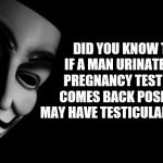 I did not know that. | DID YOU KNOW THAT IF A MAN URINATES ON A PREGNANCY TEST AND IT COMES BACK POSITIVE HE MAY HAVE TESTICULAR CANCER? | image tagged in anonymous,pregnancy,cancer,testicles | made w/ Imgflip meme maker