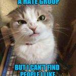 Freelance Hater | I'D START A HATE GROUP; BUT I CAN'T FIND PEOPLE I LIKE ENOUGH TO FORM A GROUP | image tagged in angry cat | made w/ Imgflip meme maker