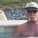 Hulk Hogan hot tub meme