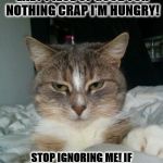 I WANNA EAT | WAKE UP HUMAN YOU LAZY PIECE OF GOOD FOR NOTHING CRAP I'M HUNGRY! STOP IGNORING ME! IF YOU'RE NOT UP IN 30 SECONDS MY CLAWS WILL MEET YOUR EYEBALLS! | image tagged in i wanna eat | made w/ Imgflip meme maker