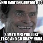 Willem Dafoe Insanity | WHEN EMOTIONS ARE TOO MUCH; SOMETIMES YOU JUST LET GO AND GO CRAZY HAHA... | image tagged in willem dafoe insanity | made w/ Imgflip meme maker