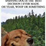 doggo | SWITCHING JOBS FROM SERVICE DOG TO DRUG SNIFFING DOG IS THE  BEST DECISION I EVER MADE. OH YEAH, WOOF OR SOMETHING | image tagged in doggo,memes,dog memes | made w/ Imgflip meme maker