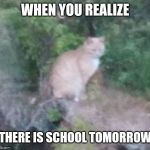 Realizion cat | WHEN YOU REALIZE; THERE IS SCHOOL TOMORROW | image tagged in realizion cat | made w/ Imgflip meme maker