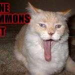 KISS CAT | GENE SIMMONS; CAT | image tagged in kiss cat | made w/ Imgflip meme maker