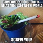 Smoking Flytrap | SOMETIMES YOU JUST GOTTA RELAX AND JUST TELL THE WORLD; SCREW YOU! | image tagged in smoking flytrap | made w/ Imgflip meme maker