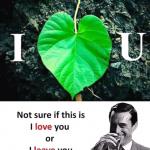Not sure I love you or I leave you meme