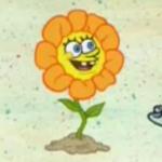 Flower Spongebob meme