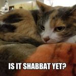 Shabbat yet? | IS IT SHABBAT YET? | image tagged in shabbat yet | made w/ Imgflip meme maker