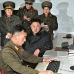 kim programmer