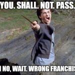 Lord of the Horcruxes | "YOU. SHALL. NOT. PASS."; "OH NO, WAIT. WRONG FRANCHISE." | image tagged in harry potter yelling,lord of the rings,gandalf,gandalf you shall not pass | made w/ Imgflip meme maker