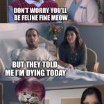 Just OK Doctor Morris | DON’T WORRY YOU’LL BE FELINE FINE MEOW; BUT THEY TOLD ME I’M DYING TODAY; YOU HAVE EIGHT MORE LIVES TO GO! | image tagged in just ok doctor morris,memes | made w/ Imgflip meme maker