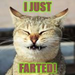 I JUST | I JUST; FARTED! | image tagged in i just | made w/ Imgflip meme maker